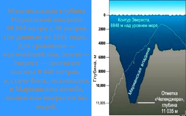 Максимальная глубина Марианской впадины 10 994 метра ± 40 метров (по данным от 2011 года). Для сравнения — высочайший пик Земли — Эверест — достигает высоты 8 848 метров, а, стало быть, оказавшись в Марианском желобе, полностью покрылся бы водой. 