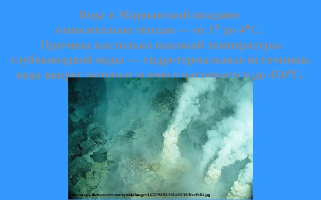Вода в Марианской впадине относительно тёплая — от 1⁰ до 4⁰С. Причина настолько высокой температуры глубоководной воды — гидротермальные источники, вода вокруг которых и вовсе нагревается до 450⁰С. 