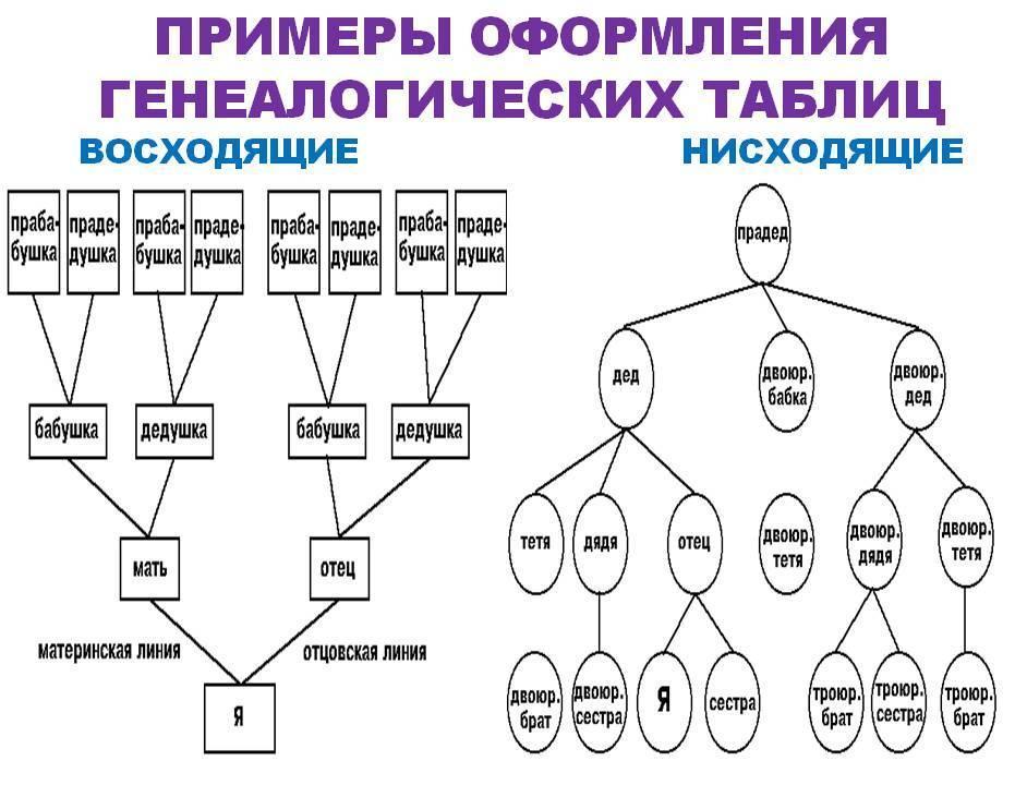 Степень родства в семье схема