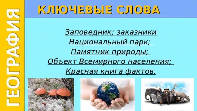 Слова относящиеся к природе. Предложение со словом заповедник. Слова из слова заповедник. Как писать слово заповедник.