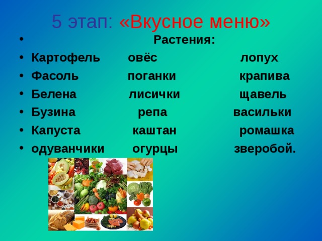 5 этап: «Вкусное меню»