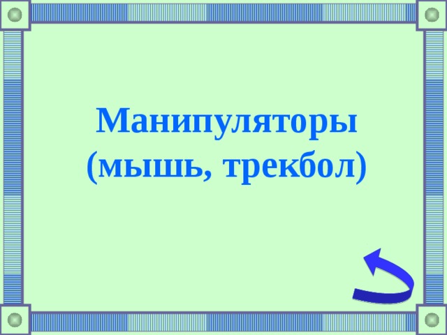 Манипуляторы (мышь, трекбол)  