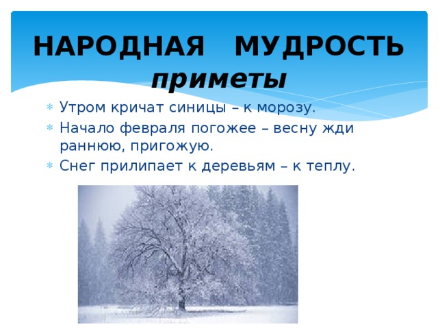 Начался февраль. Приметы это народная мудрость. Приметы про снег. Приметы к Морозу. Народные приметы о морозе.