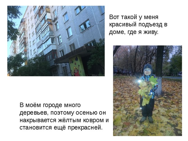 Вот такой у меня красивый подъезд в доме, где я живу. В моём городе много деревьев, поэтому осенью он накрывается жёлтым ковром и становится ещё прекрасней. 