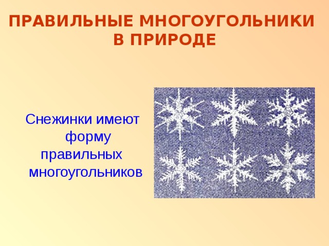 Почему снежинки имеют такую форму. Правильные многоугольники в природе снежинки. Правильные многоугольники в природе. Снежинки имеют правильную форму многоугольника. Правильные многоугольники в живой природе.