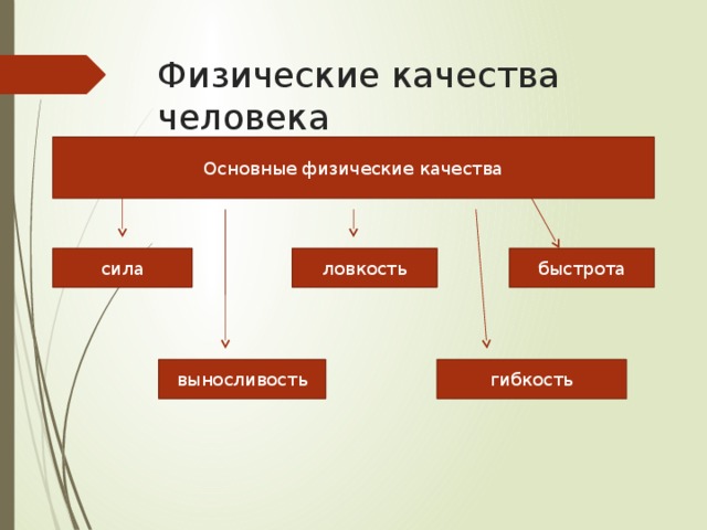 Ожидаемый образец поведения более обусловленный личностными качествами человека и ситуацией