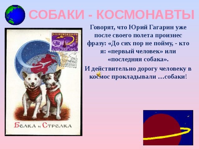  Собаки - космонавты Говорят, что Юрий Гагарин уже после своего полета произнес фразу: «До сих пор не пойму, - кто я: «первый человек» или «последняя собака». И действительно дорогу человеку в космос прокладывали …собаки ! 
