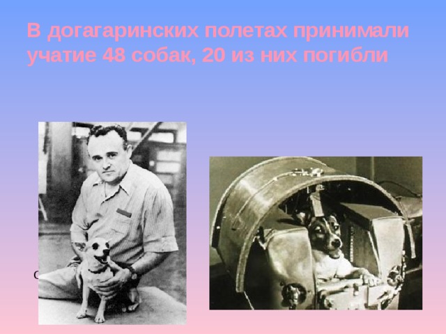 В догагаринских полетах принимали учатие 48 собак, 20 из них погибли С.П.Королев с собакой - космонавтом Собака Лайка, погибшая при полете из-за перегрева кабины 