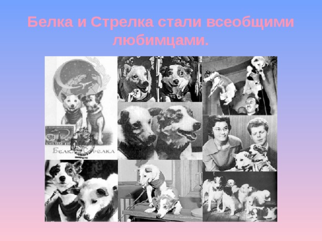 Белка и Стрелка стали всеобщими любимцами. 
