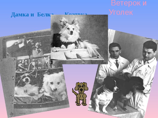  Ветерок и Уголек  Дамка и Белка Козявка 