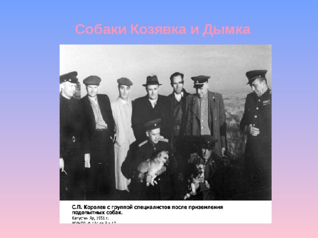   Собаки Козявка и Дымка 