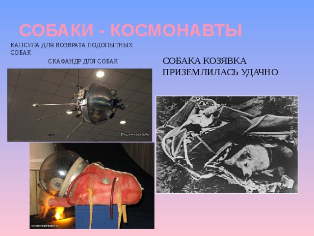 СОБАКИ - КОСМОНАВТЫ Капсула для возврата подопытных собак  Скафандр для собак Собака Козявка приземлилась удачНО 