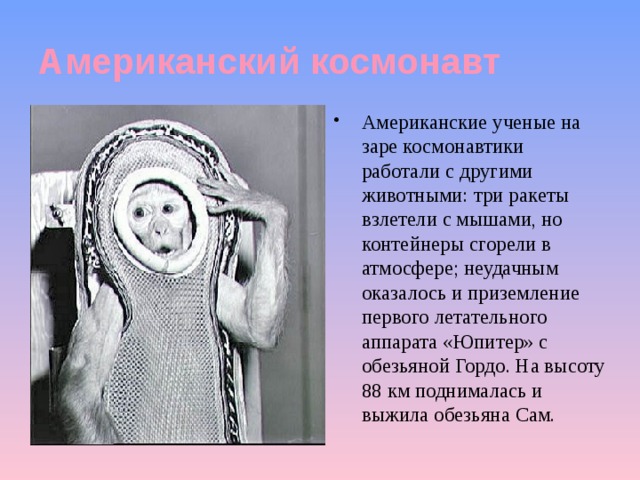 Американский космонавт Американские ученые на заре космонавтики работали с другими животными: три ракеты взлетели с мышами, но контейнеры сгорели в атмосфере; неудачным оказалось и приземление первого летательного аппарата «Юпитер» с обезьяной Гордо. На высоту 88 км поднималась и выжила обезьяна Сам. 