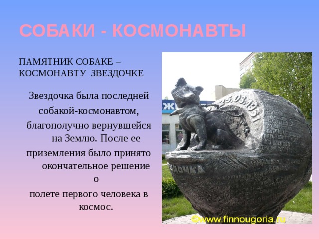 СОБАКИ - КОСМОНАВТЫ Памятник собаке – космонавту звездочке Звездочка была последней собакой-космонавтом, благополучно вернувшейся на Землю. После ее приземления было принято окончательное решение о полете первого человека в космос. 