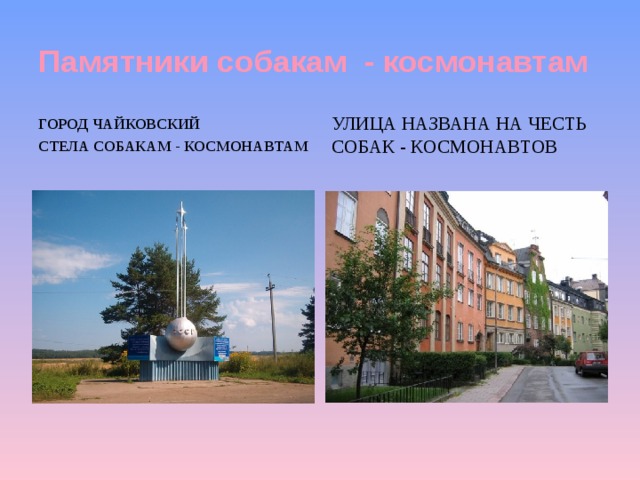 Памятники собакам - космонавтам Город Чайковский Улица названа на честь собак - космонавтов Стела собакам - космонавтам 