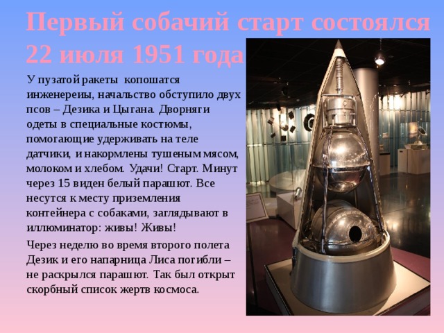 Первый собачий старт состоялся 22 июля 1951 года У пузатой ракеты копошатся инженереиы, начальство обступило двух псов – Дезика и Цыгана. Дворняги одеты в специальные костюмы, помогающие удерживать на теле датчики, и накормлены тушеным мясом, молоком и хлебом. Удачи! Старт. Минут через 15 виден белый парашют. Все несутся к месту приземления контейнера с собаками, заглядывают в иллюминатор: живы! Живы! Через неделю во время второго полета Дезик и его напарница Лиса погибли – не раскрылся парашют. Так был открыт скорбный список жертв космоса. 