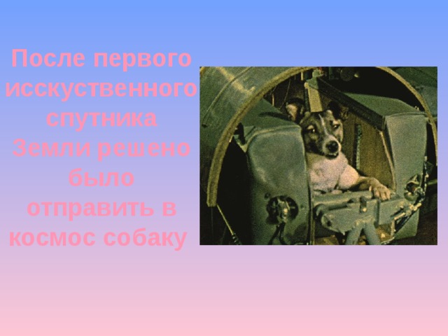 После первого исскуственного спутника Земли решено было отправить в космос собаку 