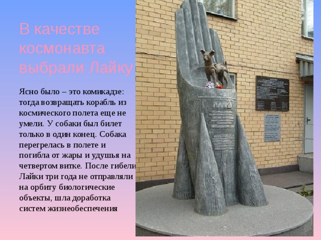 В качестве космонавта выбрали Лайку Ясно было – это комикадзе: тогда возвращать корабль из космического полета еще не умели. У собаки был билет только в один конец. Собака перегрелась в полете и погибла от жары и удушья на четвертом витке. После гибели Лайки три года не отправляли на орбиту биологические объекты, шла доработка систем жизнеобеспечения 
