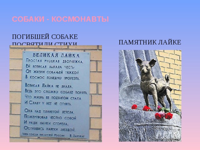 СОБАКИ - КОСМОНАВТЫ ПОГИБШЕЙ СОБАКЕ ПОСВЯТИЛИ СТИХИ  ПАМЯТНИК ЛАЙКЕ 