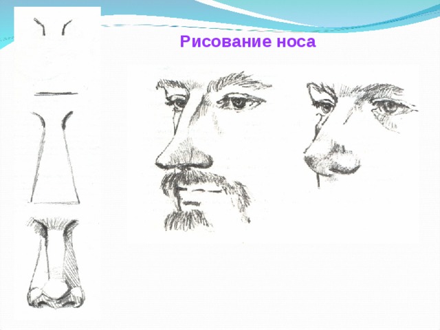 Рисование носа 