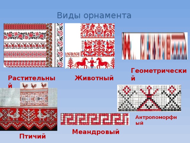 Виды орнамента Геометрический Растительный Животный Антропоморфный Меандровый Птичий 