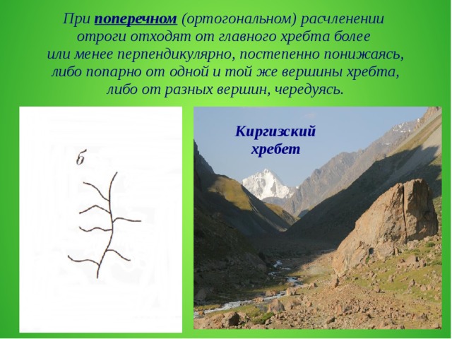 При поперечном (ортогональном) расчленении отроги отходят от главного хребта более или менее перпендикулярно, постепенно понижаясь, либо попарно от одной и той же вершины хребта, либо от разных вершин, чередуясь. Киргизский хребет  