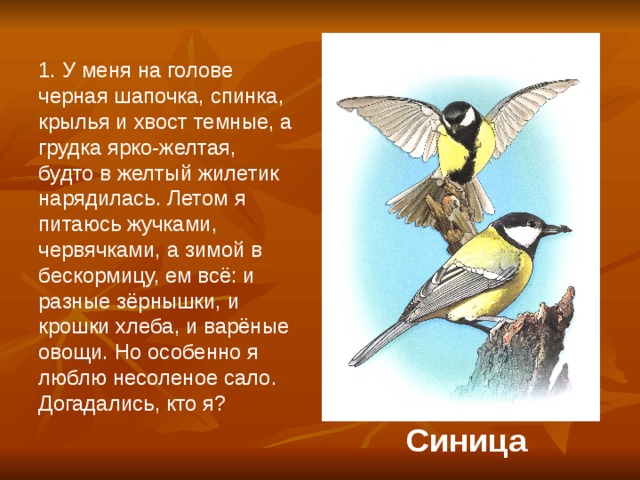 1. У меня на голове черная шапочка, спинка, крылья и хвост темные, а грудка ярко-желтая, будто в желтый жилетик нарядилась. Летом я питаюсь жучками, червячками, а зимой в бескормицу, ем всё: и разные зёрнышки, и крошки хлеба, и варёные овощи. Но особенно я люблю несоленое сало. Догадались, кто я? Синица 