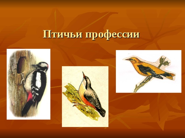  Птичьи профессии 