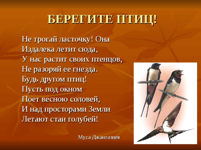 БЕРЕГИТЕ ПТИЦ! Не трогай ласточку! Она Издалека летит сюда, У нас растит своих птенцов, Не разоряй ее гнезда. Будь другом птиц! Пусть под окном Поет весною соловей, И над просторами Земли Летают стаи голубей!  Муса Джангазиев 