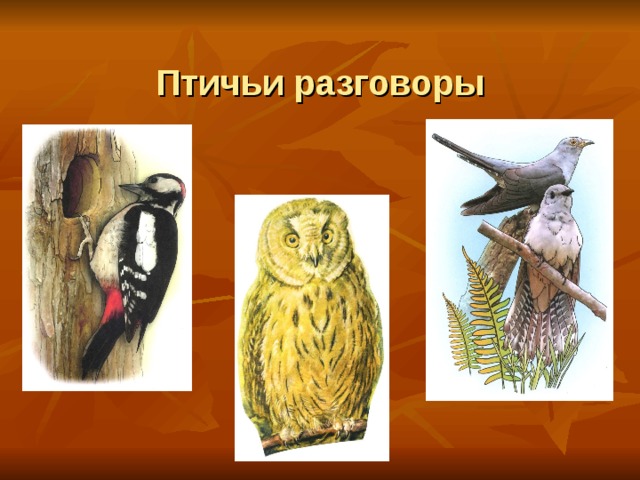  Птичьи разговоры 
