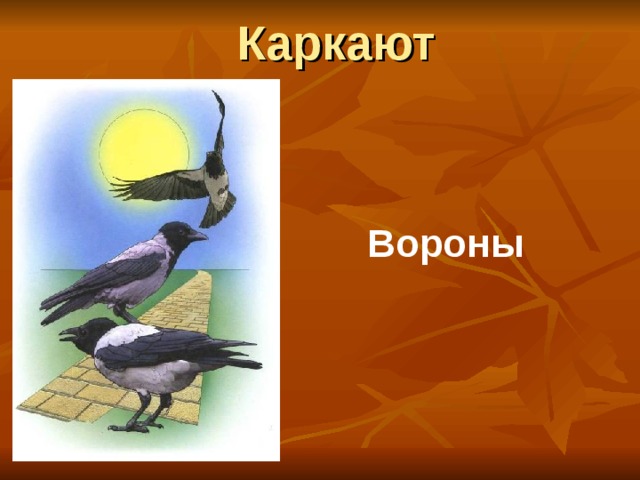 Каркают Вороны 