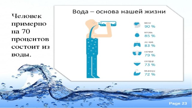 Процент воды в огурце