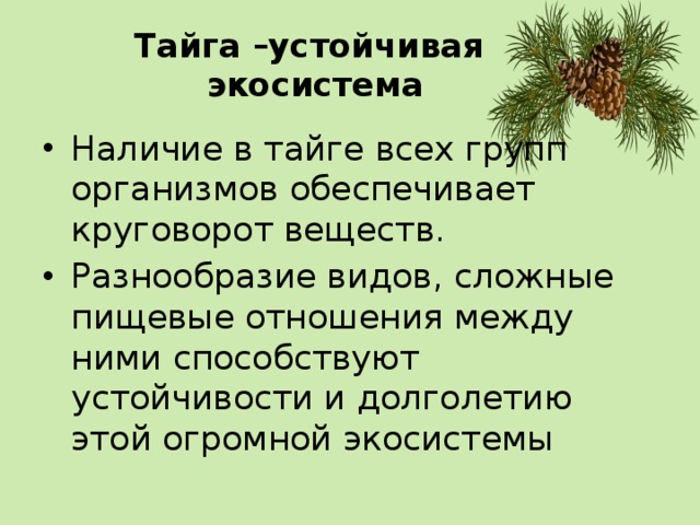 Описание экосистемы хвойного леса по плану 9 класс