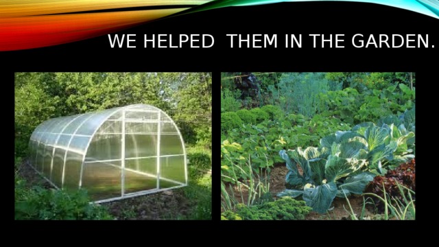 WE Helped THEM IN THE GARDEN. 