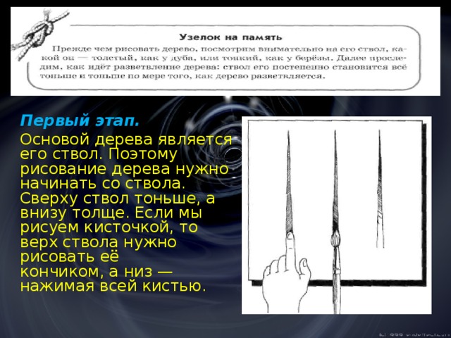   Первый этап.  Основой дерева является его ствол. Поэтому рисование дерева нужно начинать со ствола. Сверху ствол тоньше, а внизу толще. Если мы рисуем кисточкой, то верх ствола нужно рисовать её  кончиком, а низ —  нажимая всей кистью. 