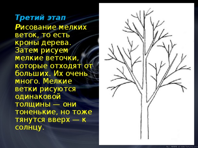   Третий этап  Р исование мелких веток, то есть кроны дерева. Затем рисуем мелкие веточки, которые отходят от больших. Их очень много. Мелкие ветки рисуются одинаковой толщины — они тоненькие, но тоже тянутся вверх — к солнцу. 