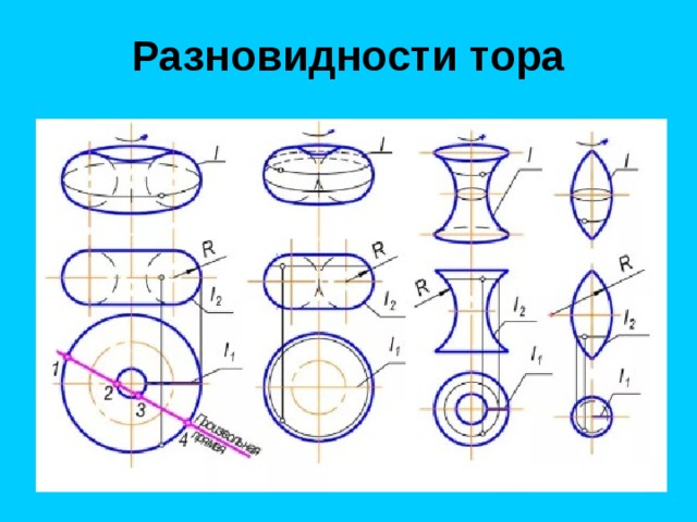 Тор на чертеже