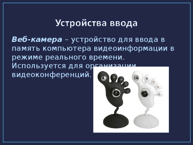 Веб-камера – устройство для ввода в память компьютера видеоинформации в режиме реального времени. Используется для организации видеоконференций.