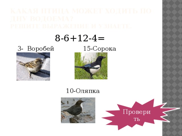 Какая птица может ходить по дну водоема?  Решите выражение и узнаете. 8-6+12-4=  3- Воробей 15-Сорока  10-Оляпка Проверить 