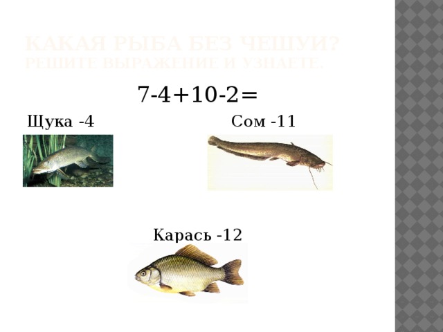 Какая рыба без чешуи?  Решите выражение и узнаете. 7-4+10-2= Щука -4 Сом -11 Карась -12 