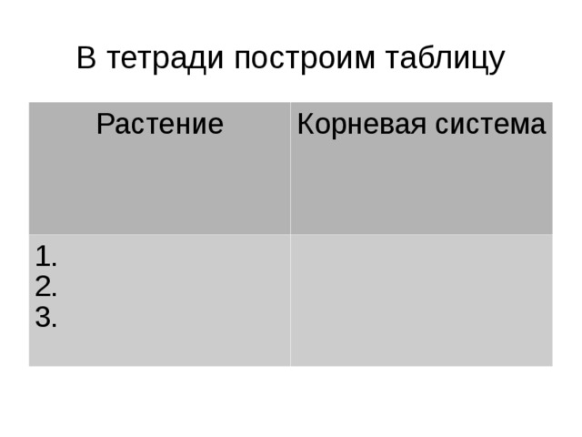 В тетради построим таблицу Растение Корневая система 1. 2. 3. 