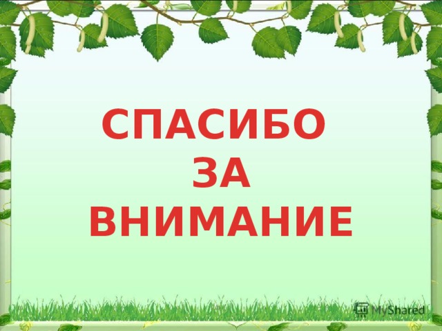 СПАСИБО ЗА ВНИМАНИЕ 