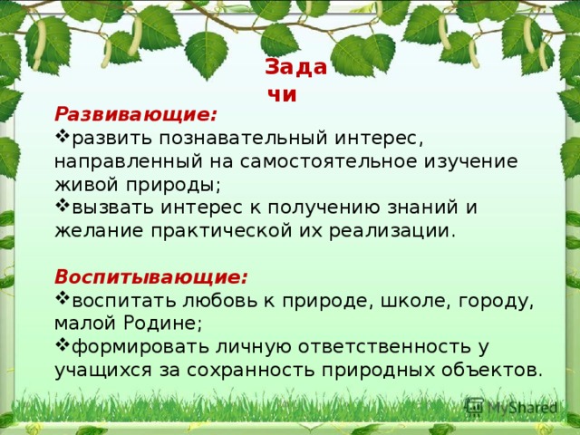  Задачи Развивающие:  развить познавательный интерес, направленный на самостоятельное изучение живой природы; вызвать интерес к получению знаний и желание практической их реализации.  Воспитывающие: воспитать любовь к природе, школе, городу, малой Родине; формировать личную ответственность у учащихся за сохранность природных объектов. 