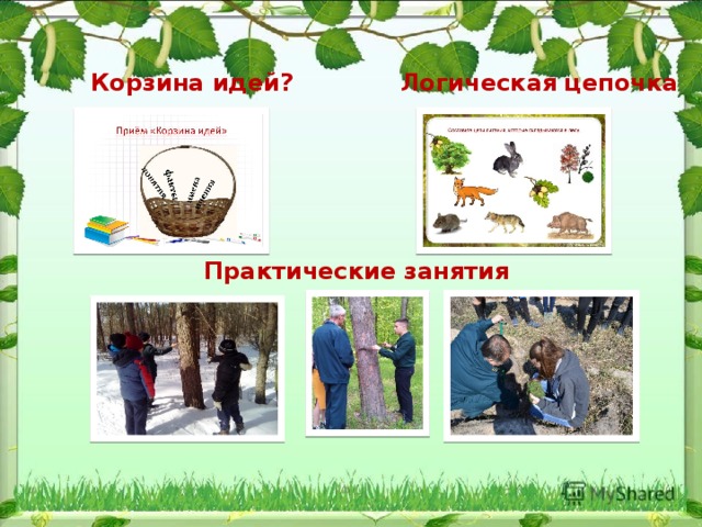 Корзина идей? Логическая цепочка Практические занятия 