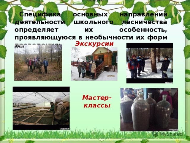 экскурсии; Специфика основных направлений деятельности школьного лесничества определяет их особенность, проявляющуюся в необычности их форм проведения: Экскурсии Мастер-классы 