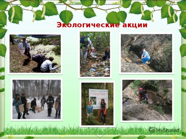 Экологические акции   