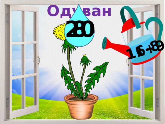 Одуванчик 11+9 16-8 20 8 