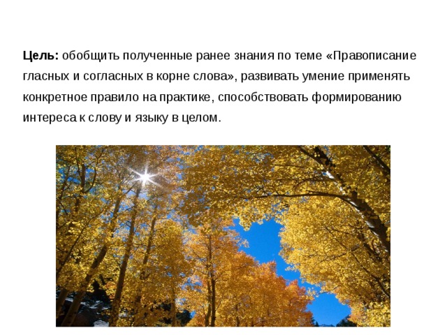 Цель: обобщить полученные ранее знания по теме «Правописание гласных и согласных в корне слова», развивать умение применять конкретное правило на практике, способствовать формированию интереса к слову и языку в целом. 