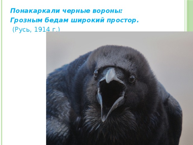 Понакаркали черные вороны: Грозным бедам широкий простор.   (Русь, 1914 г.) 