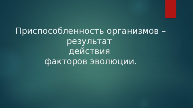  Приспособленность организмов – результат  действия  факторов эволюции. 